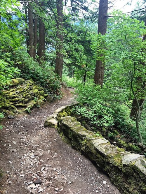 A winding dirt path through a lush green forest, bordered by moss-covered stone walls and tall trees.