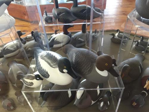 A display of various decorative duck decoys in a clear case, showcasing different colors and styles.