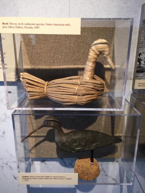 Two bird decoys displayed in a glass case: one made of reeds, the other carved from wood with a cork base.