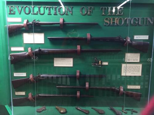 Display of various shotguns showcasing their evolution, with descriptions and historical context.