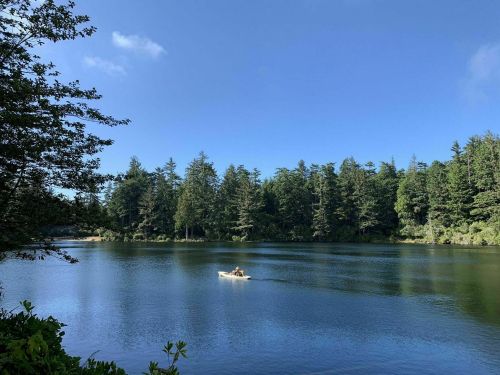 A serene lake surrounded by trees, with a person in a small boat paddling across the calm water under a clear blue sky.