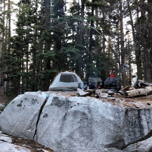 A tent set up among tall trees, with a rocky area and scattered firewood nearby.