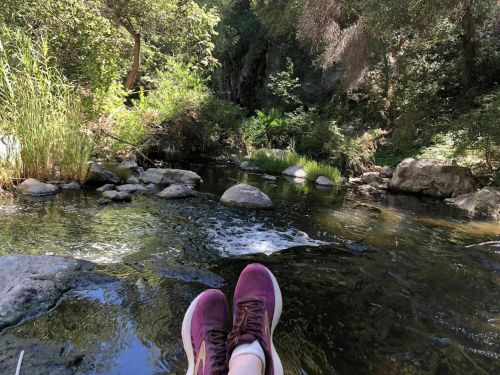 A person’s feet in pink shoes resting by a serene stream surrounded by lush greenery and rocks.