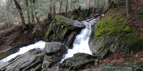 A serene waterfall cascades over moss-covered rocks in a lush forest setting.