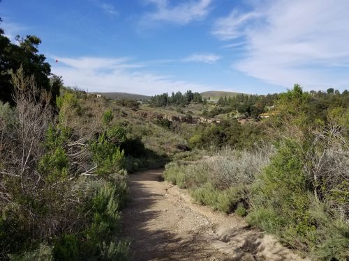 A winding dirt path through lush greenery and shrubs, with a blue sky and distant hills in the background.