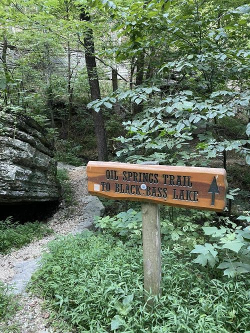 Wooden sign for Oil Springs Trail to Black Bass Lake, surrounded by lush greenery and rocky terrain.