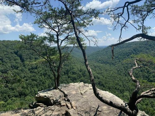 A rocky cliff overlooks a lush green valley, framed by trees under a bright blue sky with scattered clouds.