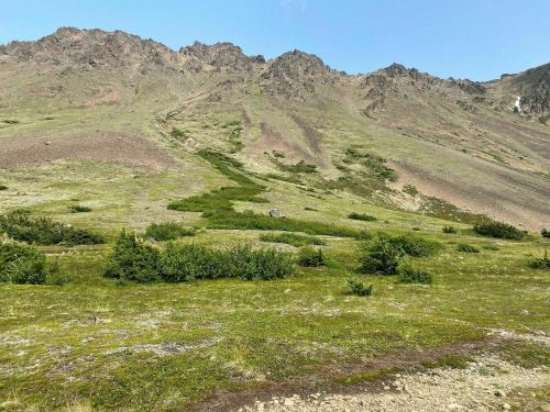 A lush green hillside with rocky mountains in the background under a clear blue sky.