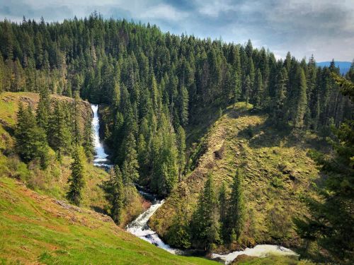 A scenic view of a waterfall cascading through a lush green forest, surrounded by tall pine trees and rolling hills.