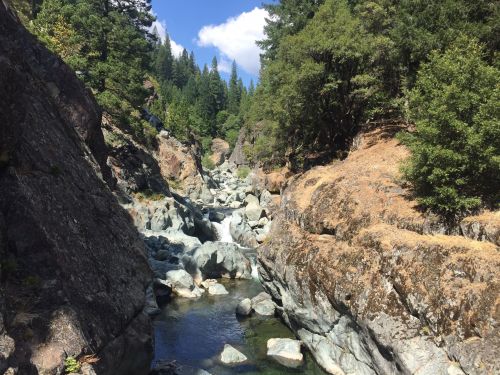 A serene river flows through rocky terrain, surrounded by lush green trees and a clear blue sky.