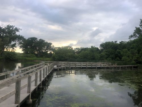 A wooden walkway extends over a calm, green-tinted pond surrounded by lush trees under a cloudy sky.