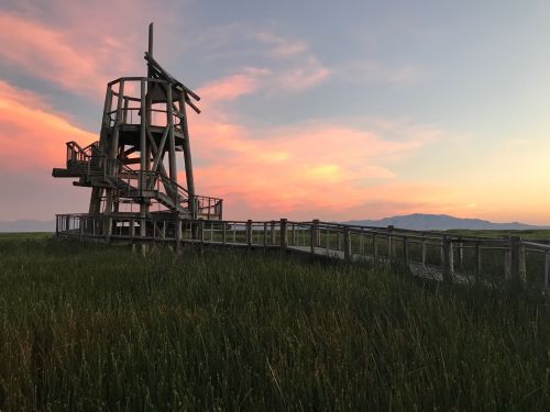 A wooden observation tower stands in a grassy field under a colorful sunset sky.