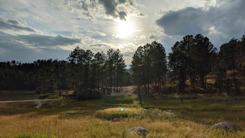 A serene landscape featuring tall trees, a grassy field, and a cloudy sky with the sun peeking through.
