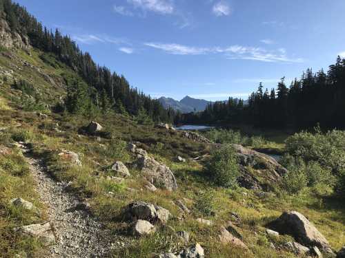 A scenic landscape featuring a winding trail, rocky terrain, and a serene lake surrounded by trees and mountains.