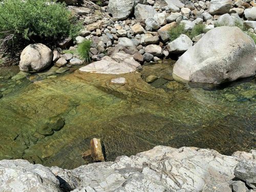 A clear stream flows over smooth rocks, surrounded by pebbles and greenery in a natural setting.