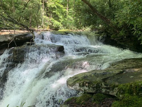A cascading waterfall flows over rocky terrain, surrounded by lush green trees and foliage.