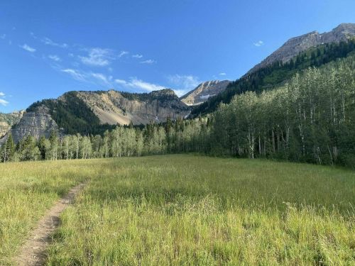 A scenic view of a grassy meadow surrounded by mountains and trees under a clear blue sky.