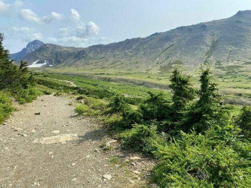 A scenic mountain landscape with a gravel path, lush greenery, and distant peaks under a clear blue sky.