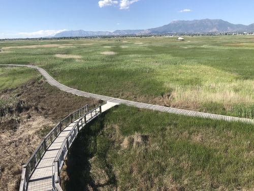 A wooden boardwalk winds through a lush green marsh, with mountains in the background under a clear blue sky.