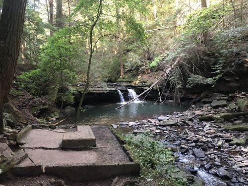 A serene forest scene featuring a small waterfall cascading into a tranquil pool, surrounded by lush greenery and rocks.