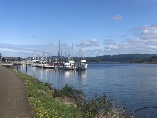 A calm harbor with several boats docked, surrounded by greenery and under a clear blue sky.