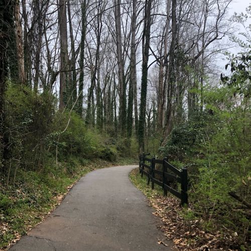 A winding path through a wooded area with bare trees and greenery along the sides, bordered by a black fence.