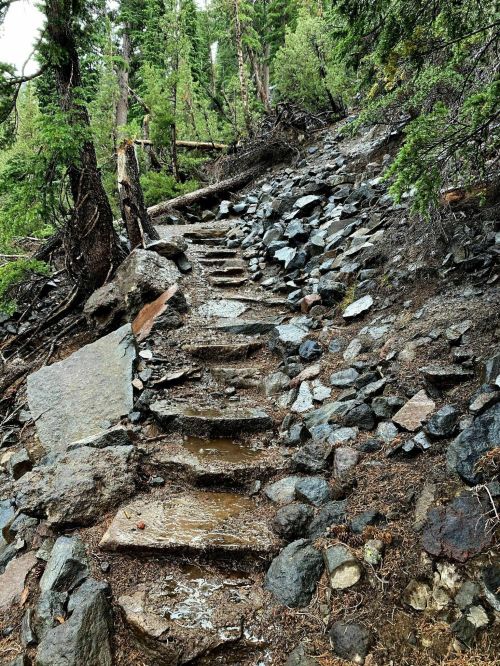 A rocky, uneven trail with stone steps, surrounded by trees and wet ground from recent rain.