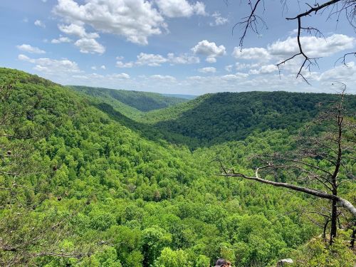 Lush green valley surrounded by hills under a bright blue sky with fluffy clouds.