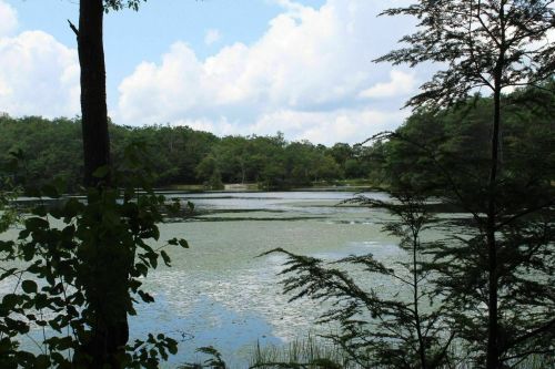 A serene lake surrounded by lush greenery and trees under a partly cloudy sky.