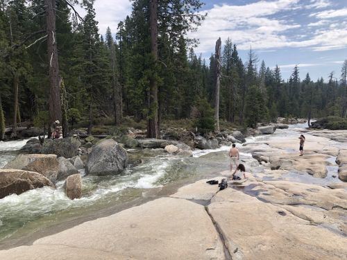 A rocky riverbank with people enjoying the water, surrounded by tall trees and a cloudy sky.