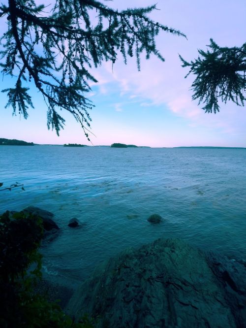 A serene view of calm waters and distant islands framed by tree branches under a pastel sky.