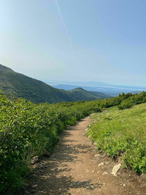 A dirt path winds through green hills, leading to a distant view of mountains and a body of water under a clear sky.