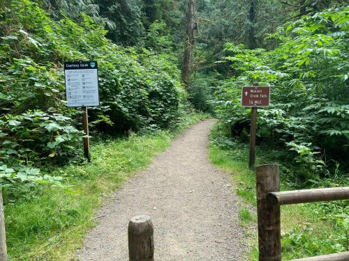 A dirt path through lush greenery, with signs for a trail guide and directions to Moccasin Creek Falls.
