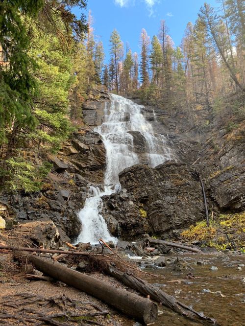 A cascading waterfall flows down rocky cliffs, surrounded by lush green trees and fallen logs in a serene forest setting.