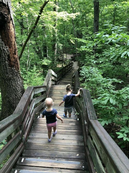 Two children walk down a wooden staircase in a lush green forest.