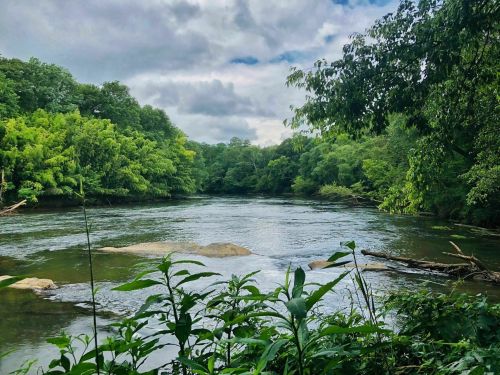 A serene river flows through lush greenery under a cloudy sky, with rocks visible in the water.