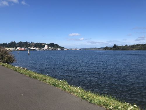 A calm river scene with a paved path, green grass, and a distant view of buildings and boats under a clear blue sky.