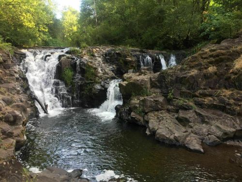 A serene waterfall cascades over rocky terrain, surrounded by lush greenery and a calm pool of water below.