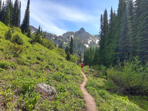 A hiker in a red jacket walks along a dirt path through lush green vegetation, surrounded by mountains and trees.