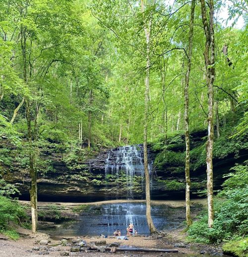 A serene waterfall cascades into a pool surrounded by lush green trees and people enjoying the natural beauty.