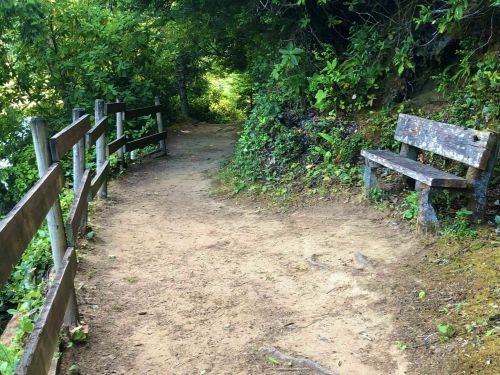 A dirt path surrounded by greenery, with a wooden bench and a wooden fence on the side.