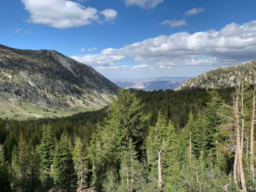 A scenic view of mountains and lush green forests under a partly cloudy sky.