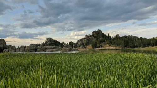Lush green grass in the foreground with rocky hills and a cloudy sky in the background, reflecting a serene landscape.