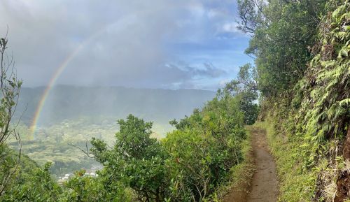 A scenic hiking trail surrounded by lush greenery, with a rainbow arching over a misty valley in the background.