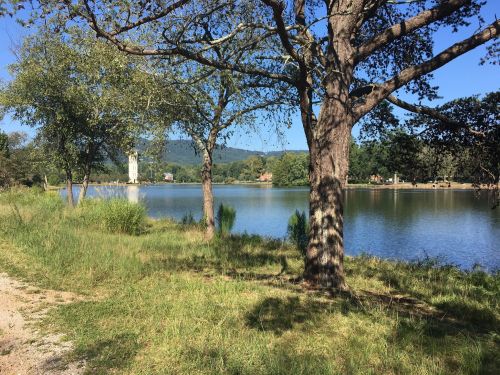 A serene lakeside scene with trees, grass, and a distant clock tower under a clear blue sky.