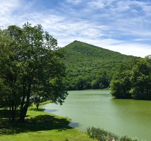 A serene lake surrounded by lush greenery and a mountain in the background under a clear blue sky.