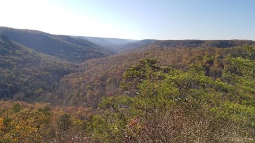 A scenic view of a valley surrounded by mountains, featuring autumn foliage and clear blue skies.
