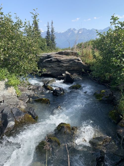 A clear stream flows over rocks, surrounded by greenery, with mountains in the background under a blue sky.