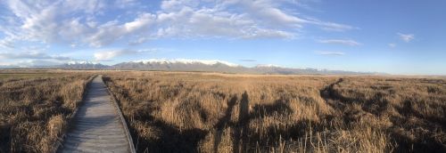 A wooden path leads through tall grass, with snow-capped mountains and a blue sky in the background.