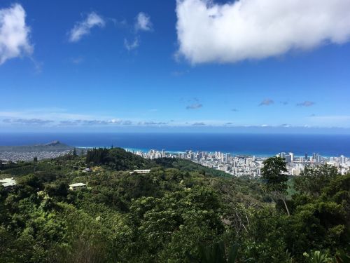 A panoramic view of a lush green landscape overlooking a city by the ocean under a clear blue sky with scattered clouds.